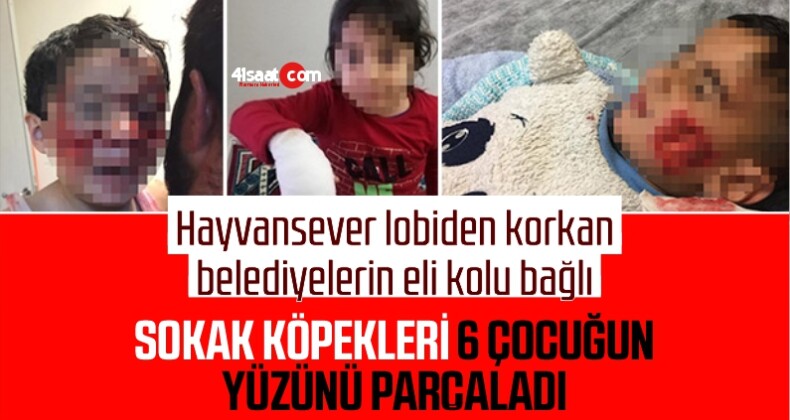 Şanlıurfa Viranşehir’de Sokak Köpekleri 6 Çocuğa Saldırdı