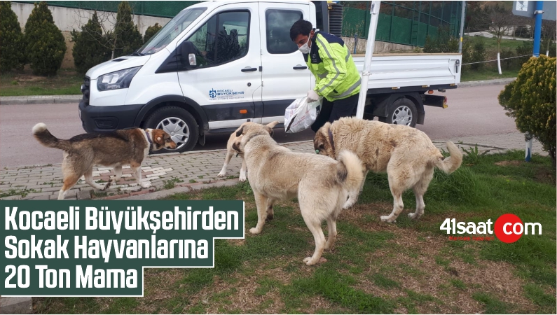 Kocaeli Büyükşehirden