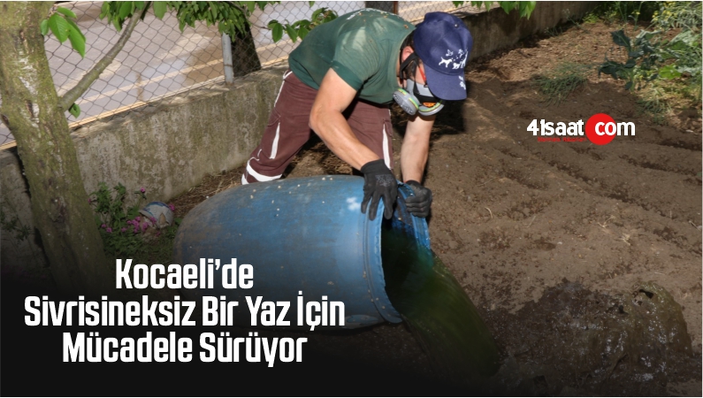 Sivrisineksiz Bir Yaz İçin Mücadele Sürüyor