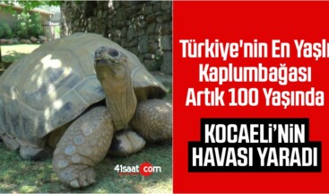 Türkiye’nin En Yaşlı Kaplumbağası Artık 100 Yaşında