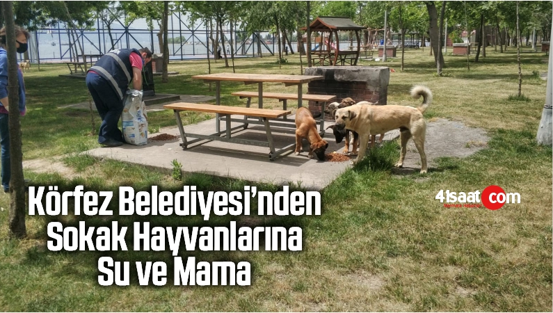 su ve mama