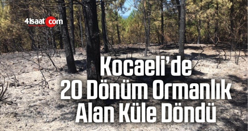 Kocaeli’de 20 Dönüm Ormanlık Alan Küle Döndü