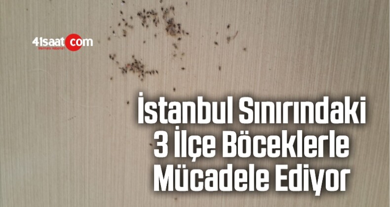 İstanbul Sınırındaki 3 İlçe Böceklerle Mücadele Ediyor