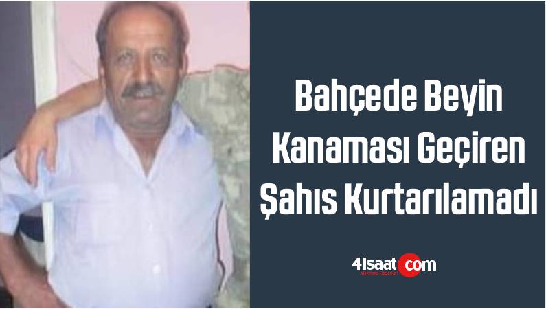 beyin