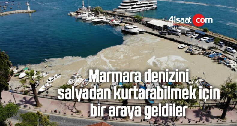Marmara Denizini Salyadan Kurtarabilmek İçin Bir Araya Geldiler