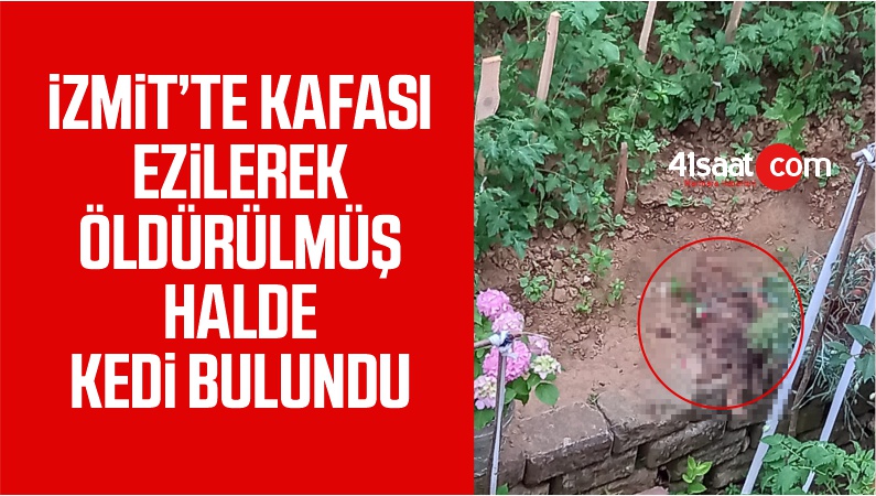 İzmitte kafası