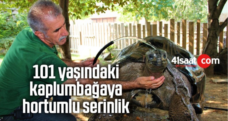 101 Yaşındaki Kaplumbağaya Hortumlu Serinlik