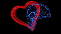 Beynin kalbi vücuttaki fiziksel süreçleri tetikler