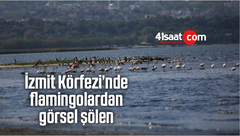 görsel şölen