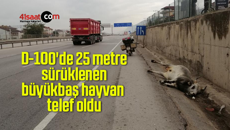 telef oldu