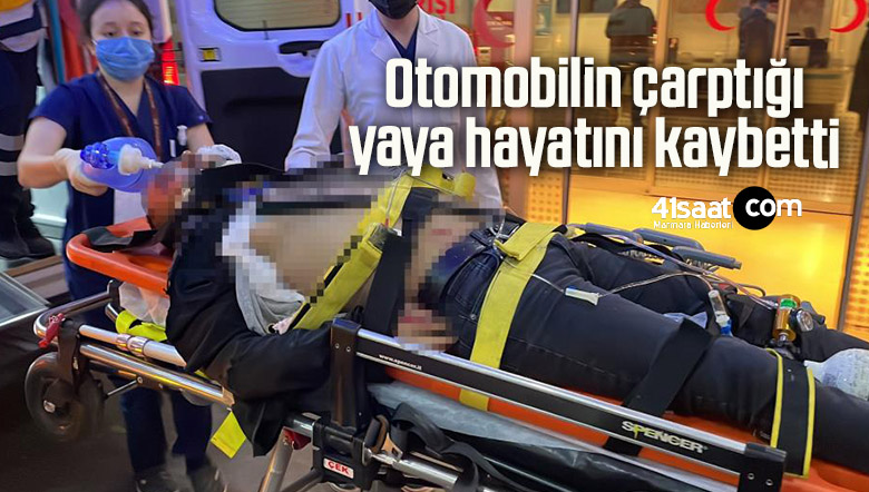 hayatını kaybetti