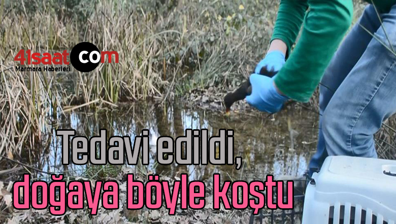 doğaya
