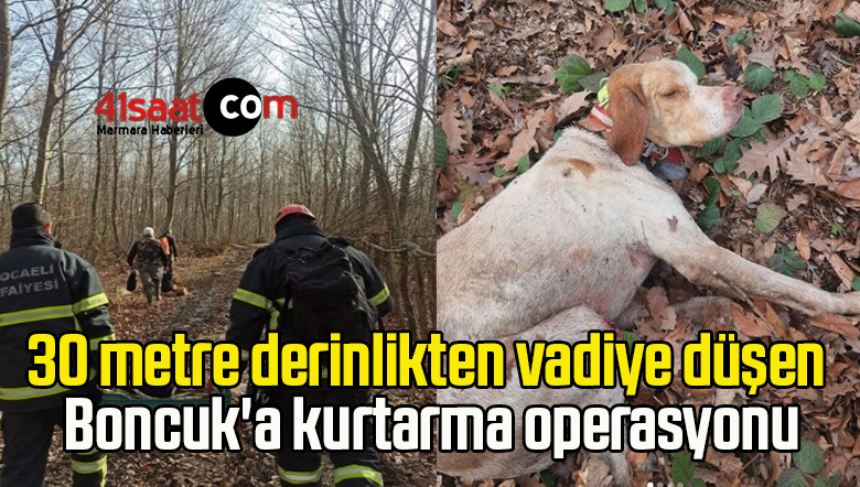 kurtarma