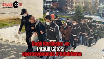 Dağlı Kardeşler ve Pitbull Çetesi’ operasyonunda 8 tutuklama