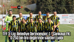 TFF 3. Lig: Belediye Derincespor: 1 – Çankaya FK: 0