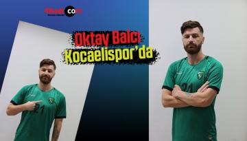 Oktay Balcı, Kocaelispor’da