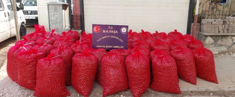 MUSTAFAKEMALPAŞA'DA HIRSIZLAR 46 ÇUVAL CEVİZ İLE YAKALANDI