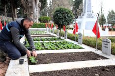 KOCAELİ'DE ŞEHİTLİKLERDE BAKIM VE ÇİÇEKLENDİRME ÇALIŞMASI