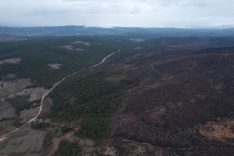 BURSA'DA TARİHİN EN BÜYÜK ORMAN YANGININDA YARALAR BÖYLE SARILDI 4 BİN 240 HEKTAR ORMAN BİR HAFTA BOYUNCA YANDI, ÇALIŞMALAR HEMEN BAŞLADI VE 1,6 MİLYON FİDAN DİKİLDİ, 17 BİN KİLOGRAM TOHUM EKİLDİ HARMANCIK'TA 2 BİN 327 KİLOMETRE TERAS ÇALIŞMASI İLMEK İLMEK İŞLENDİ, BU İSTATİSTİK BURSA'DAN İTALYA'YA UZANACAK BİR MESAFEYE DENK DÜŞÜYOR