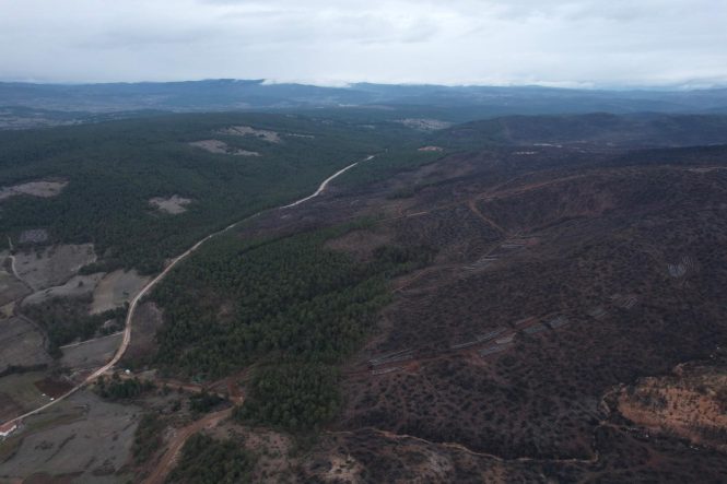 BURSA'DA TARİHİN EN BÜYÜK ORMAN YANGININDA YARALAR BÖYLE SARILDI 4 BİN 240 HEKTAR ORMAN BİR HAFTA BOYUNCA YANDI, ÇALIŞMALAR HEMEN BAŞLADI VE 1,6 MİLYON FİDAN DİKİLDİ, 17 BİN KİLOGRAM TOHUM EKİLDİ HARMANCIK'TA 2 BİN 327 KİLOMETRE TERAS ÇALIŞMASI İLMEK İLMEK İŞLENDİ, BU İSTATİSTİK BURSA'DAN İTALYA'YA UZANACAK BİR MESAFEYE DENK DÜŞÜYOR