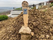 "ALDATMA" İDDİASIYLA EŞİ KIYMET'İ ÖLDÜREN SANIĞA 22 YIL HAPİS "SİZİ SEVİYORUM HAKİME HANIM, SİZ DE BENİ SEVİYOR MUSUNUZ?"
