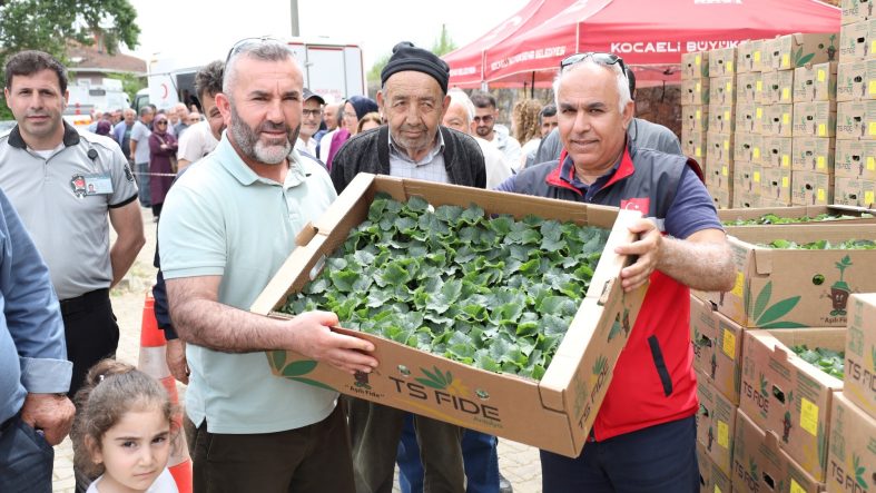 GEBZELİ ÇİFTÇİYE 500 BİN SEBZE FİDESİ DESTEĞİ KOCAELİ'DE 290 MİLYON LİRALIK TARIMSAL ÜRETİM DESTEĞİ VERİLDİ