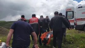 MANTAR TOPLARKEN AYI SALDIRISINA UĞRADI MANTAR TOPLAMAK İÇİN ÇIKTIĞI KIRSALDA AYI SALDIRISINA UĞRAYAN VATANDAŞIN PARMAĞI KOPTU