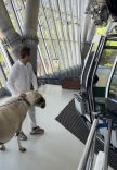 BAYRAMDA KESECEĞİ KOÇLA TELEFERİK KEYFİ YAPTI