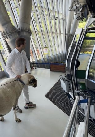 BAYRAMDA KESECEĞİ KOÇLA TELEFERİK KEYFİ YAPTI