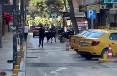 SAHİBİNİN ELİNDEN KAÇAN DANA KORKU DOLU ANLAR YAŞATTI