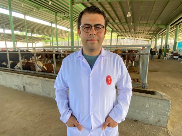 KENE TEHDİDİNE DİKKAT: 200'DEN FAZLA HASTALIK ETKENİ TAŞIYABİLİYOR KENE VAKALARINA KARŞI UYARI