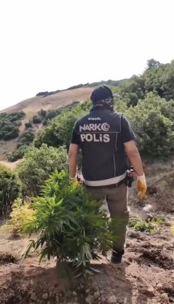 BİNGÖL'DE UYUŞTURUCU OPERASYONU: 3 ŞÜPHELİ TUTUKLANDI