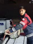 ARSUZ'DA KAYALIKLARDA YORGUN DÜŞEN LEYLEK KURTARILDI