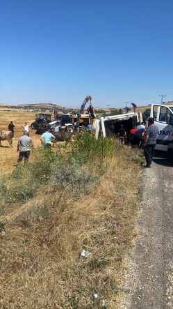 BOZTEPE'DE HAYVAN YÜKLÜ TIR YAN YATTI