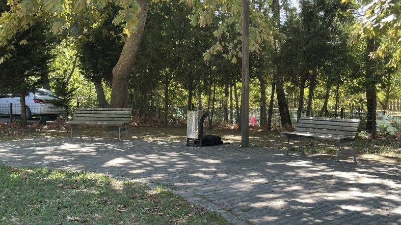 CAMİ PARKINDAKİ BANKTA ŞÜPHELİ ÖLÜM