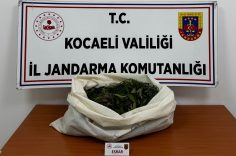 KOCAELİ'DE JANDARMADAN 4 İLÇEDE UYUŞTURUCU OPERASYONU